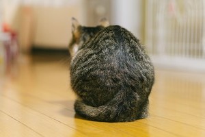 老けて見える？猫背改善で印象をよくしよう！簡単なストレッチ方法大公開