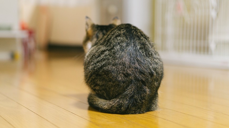 老けて見える?猫背改善で印象をよくしよう!簡単なストレッチ方法大公開